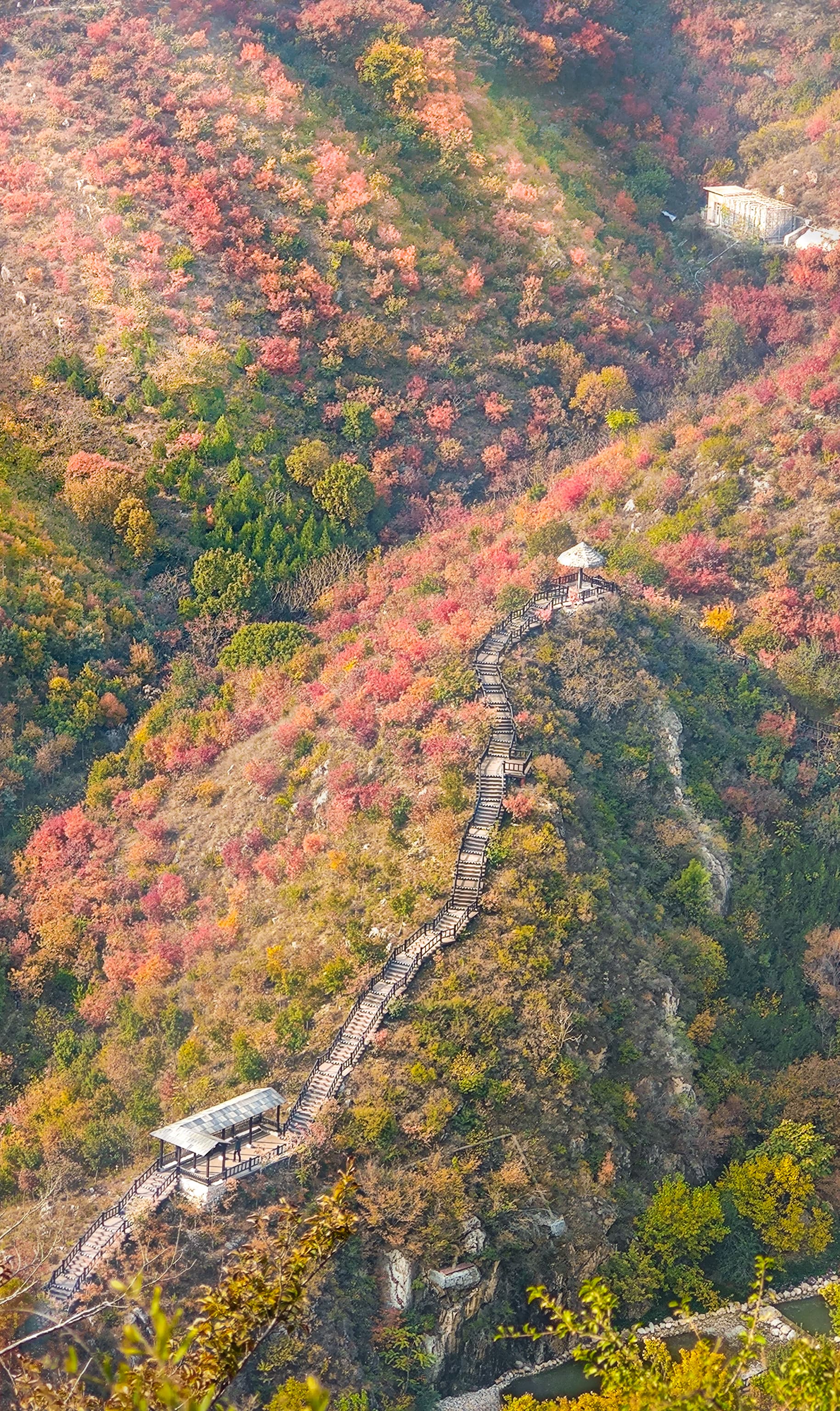 秋叶舞彩浅山