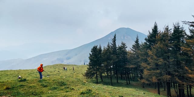 趣野